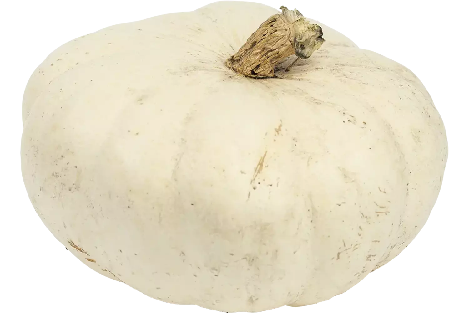 Pompoen winter sweet 1 a 2 kilo kist 1 stuk